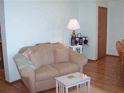 45150 Shore Drive Decatur, MI 49045 - Photo 17 of 17 Additional Photo