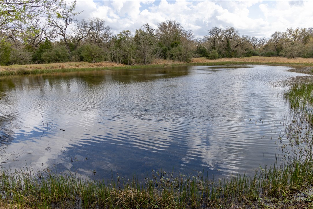 10100 Ferrill Creek Road Bryan, TX 77808 - Photo 8 of 20 a view of a lake from a yard
