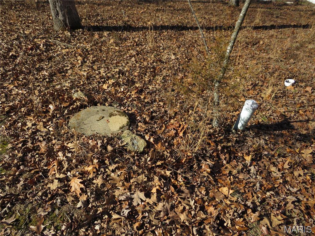 5975 Jakes Prairie Road Cuba, MO 65453 - Photo 8 of 21