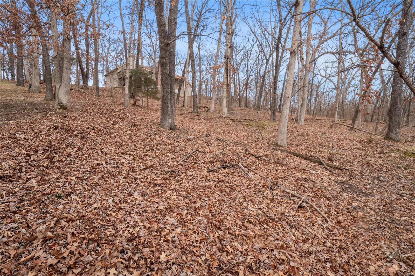 16484 Horseshoe Ridge Road Chesterfield, MO 63005 - Photo 60 of 63 Gallery Image 60