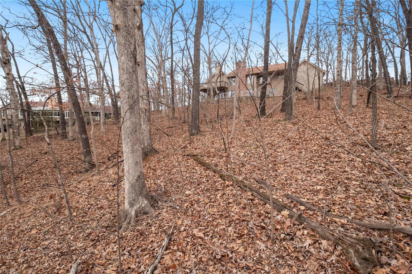 16484 Horseshoe Ridge Road Chesterfield, MO 63005 - Photo 61 of 63 Gallery Image 61