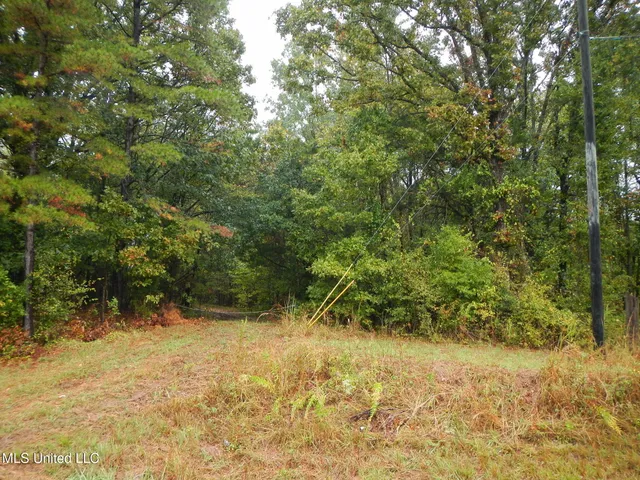 $179,900 | 6977 Holly Grove-Meeks Road, Cruger, MS 38924