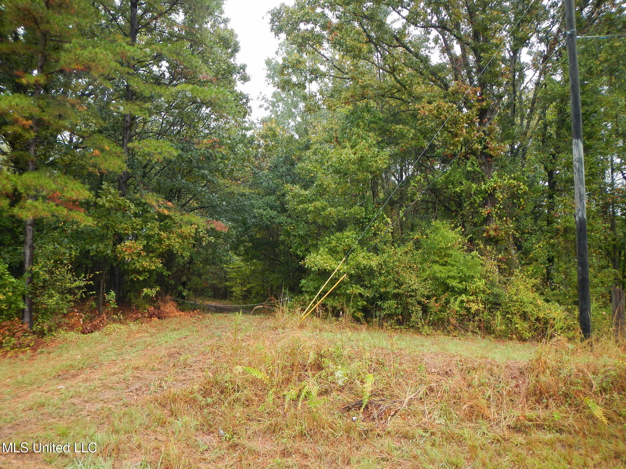 6977 Holly Grove-Meeks Road Cruger, MS 38924 - Photo 11 of 12 DSCN9908