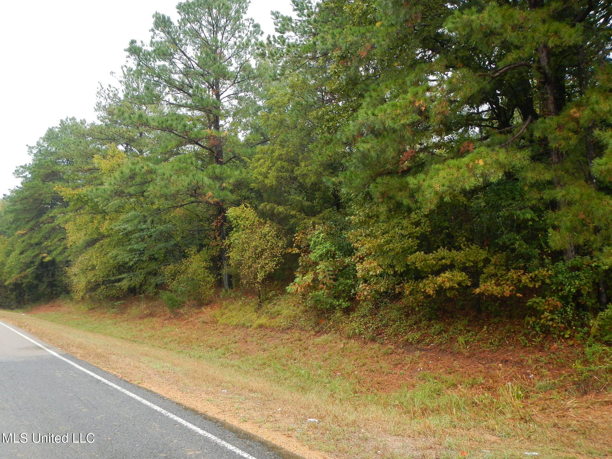 6977 Holly Grove-Meeks Road Cruger, MS 38924 - Photo 12 of 12 DSCN9909