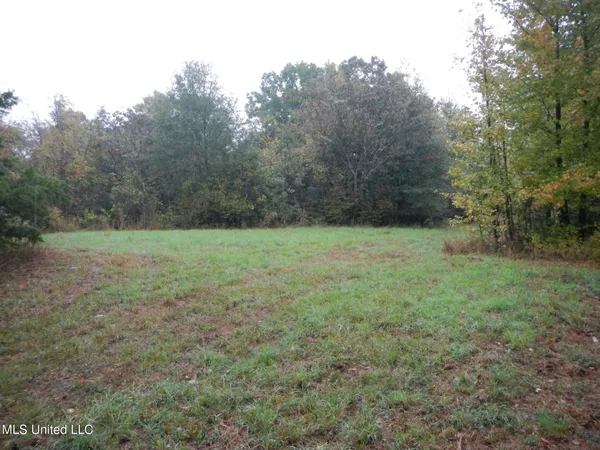 $179,900 | 6977 Holly Grove-Meeks Road, Cruger, MS 38924