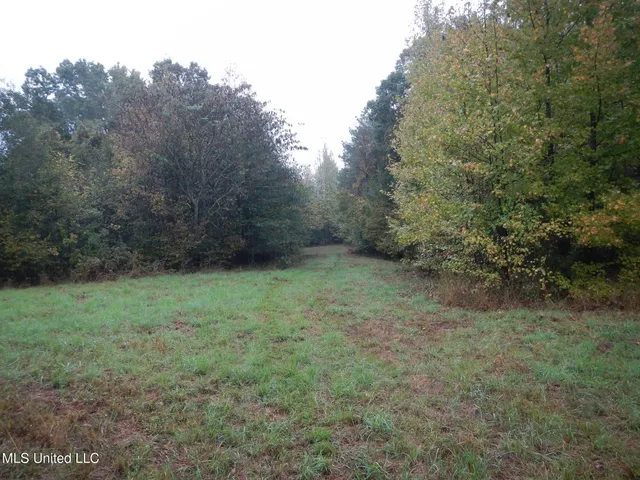 $179,900 | 6977 Holly Grove-Meeks Road, Cruger, MS 38924