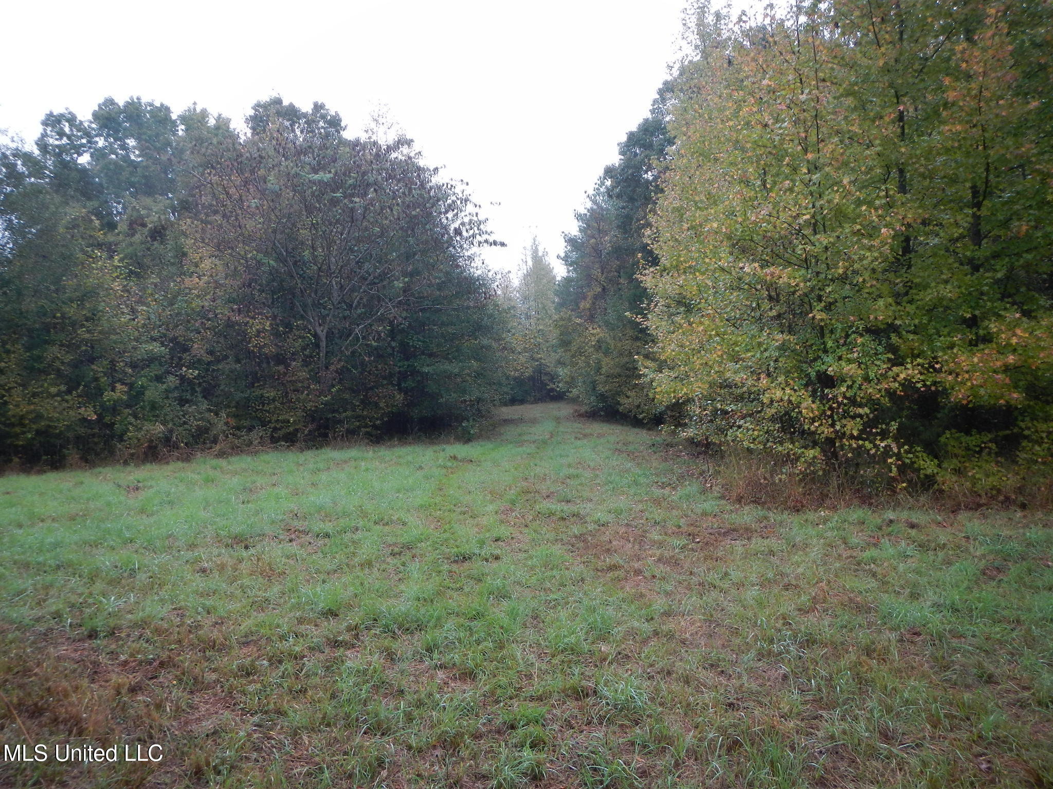 6977 Holly Grove-Meeks Road Cruger, MS 38924 - Photo 4 of 12 DSCN9901