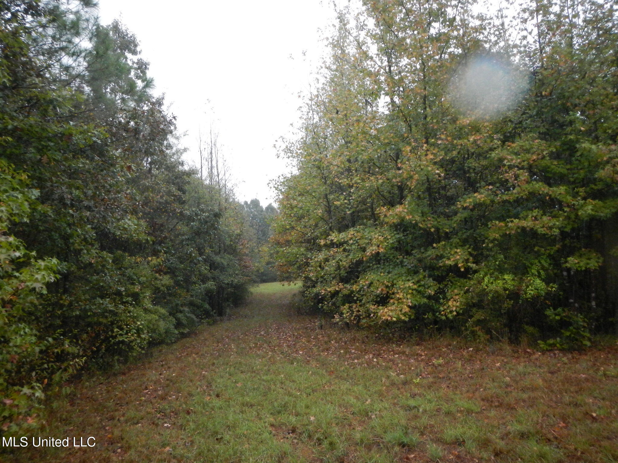 6977 Holly Grove-Meeks Road Cruger, MS 38924 - Photo 5 of 12 DSCN9902