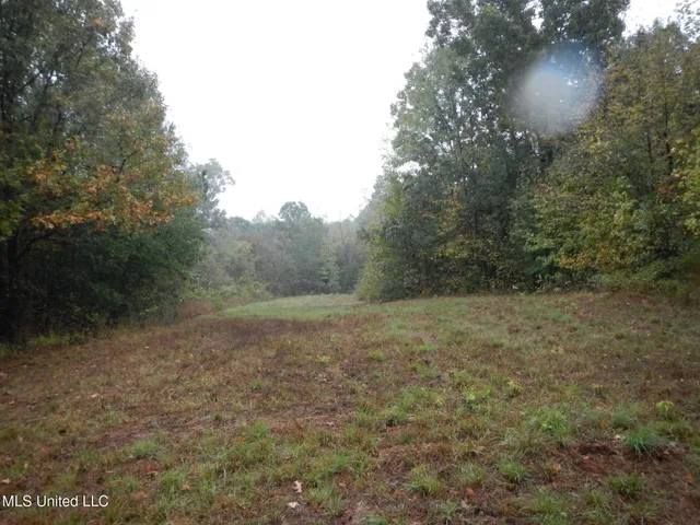 $179,900 | 6977 Holly Grove-Meeks Road, Cruger, MS 38924