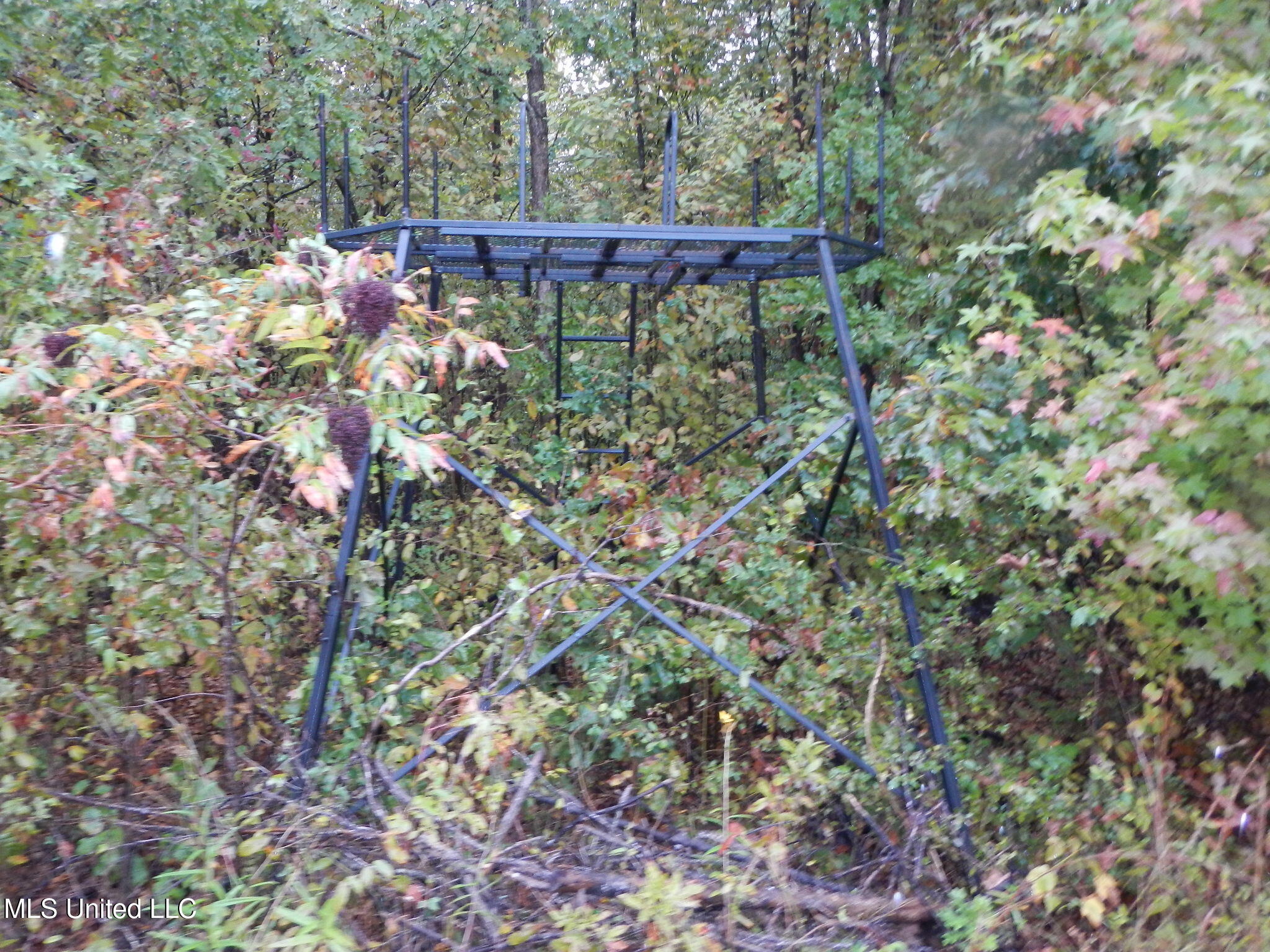 6977 Holly Grove-Meeks Road Cruger, MS 38924 - Photo 7 of 12 DSCN9904