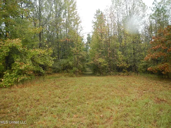 $179,900 | 6977 Holly Grove-Meeks Road, Cruger, MS 38924