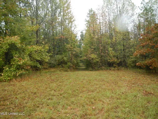 $179,900 | 6977 Holly Grove-Meeks Road, Cruger, MS 38924