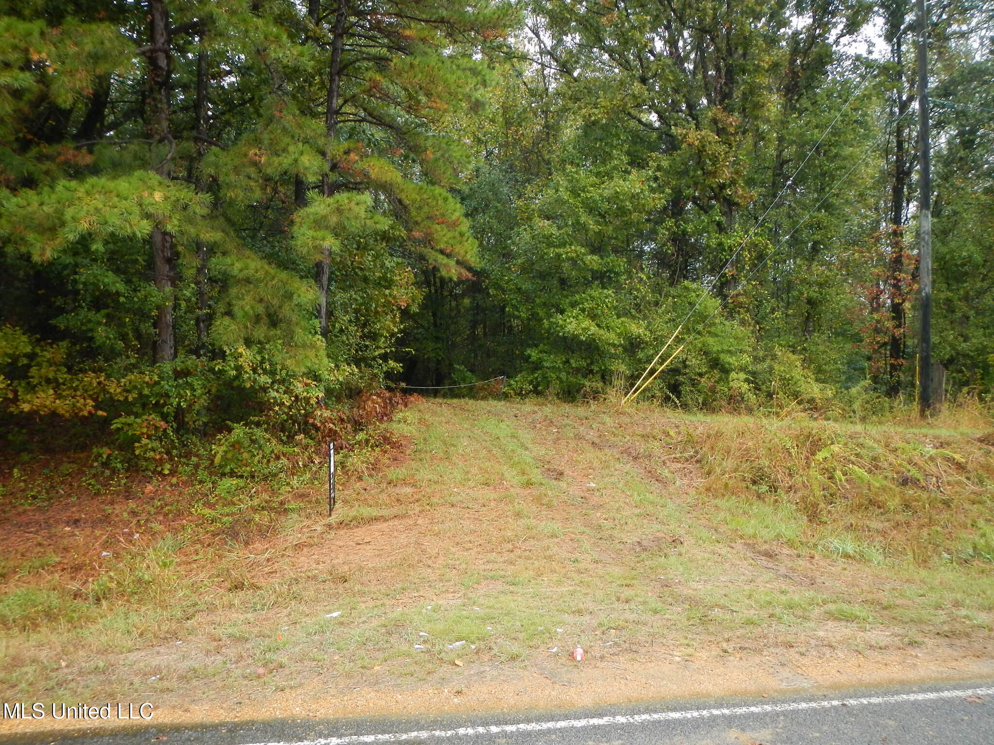 6977 Holly Grove-Meeks Road Cruger, MS 38924 - Photo 10 of 12 DSCN9907