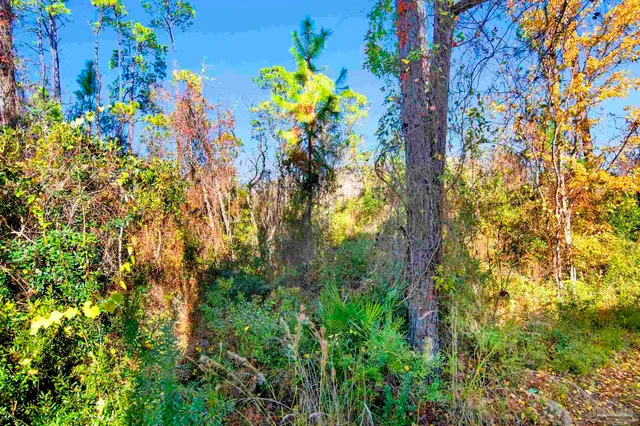 $649,000 | 7955 Double Gate Drive, Pensacola, FL 32507