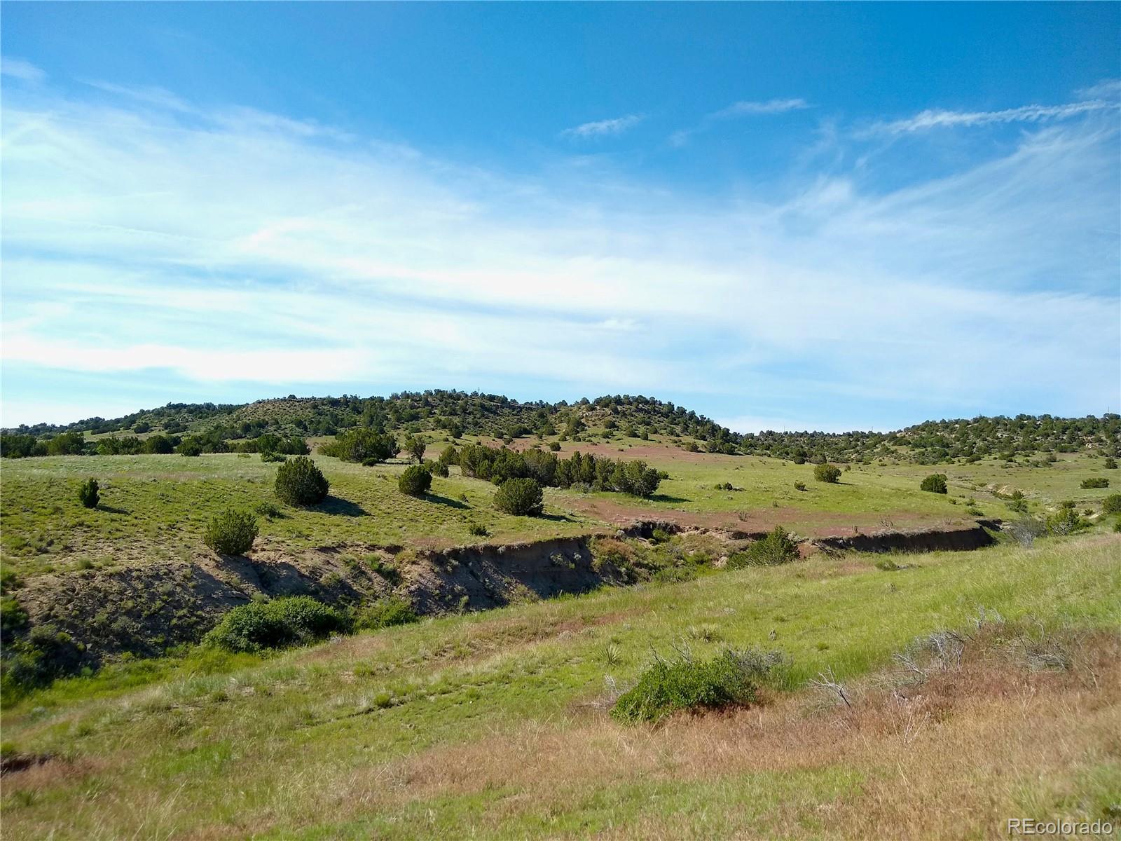 0 County 113 Lane Rye, CO 81069 - Photo 35 of 50 Gallery Image 35