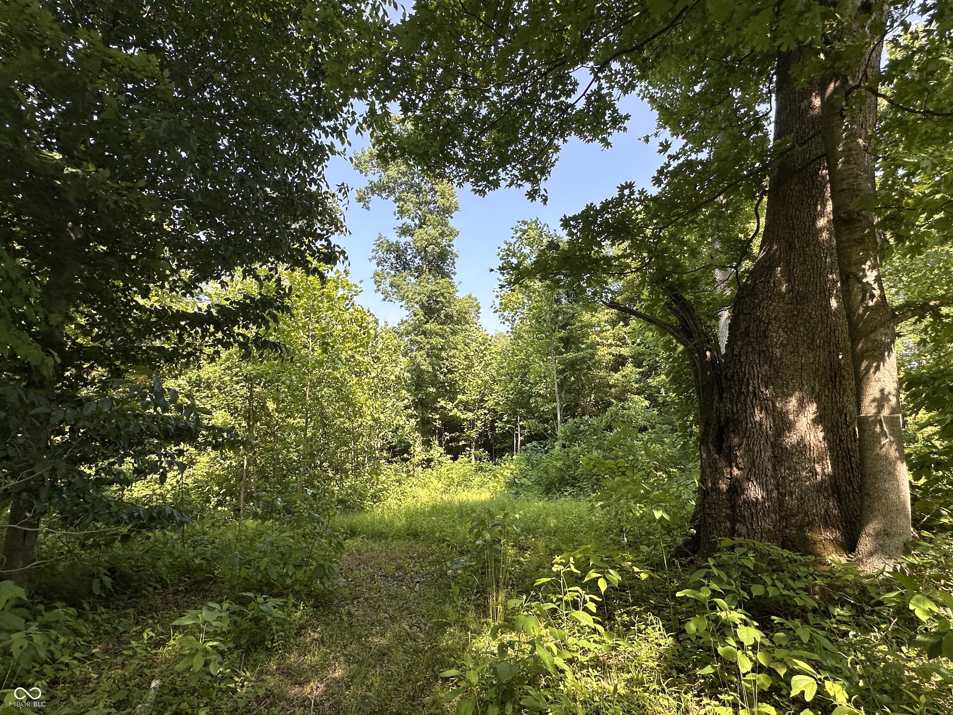 11317 Pr Rd 900 West Poland, IN 47868 - Photo 12 of 20 Gallery Image 12