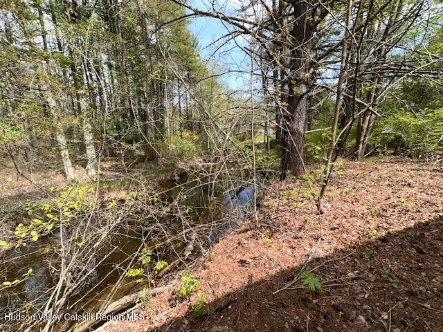 276 Silver Spur Road East Cairo, NY 12413 - Photo 11 of 12 IMG_4401