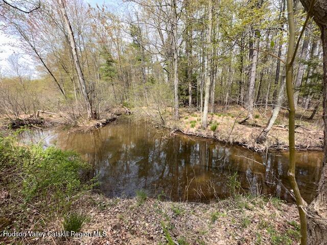 276 Silver Spur Road East Cairo, NY 12413 - Photo 2 of 12 Creek behind house
