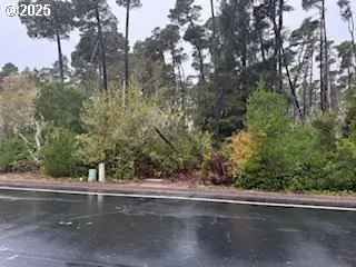 $1,690,000 | Tl00600, Florence, OR 97439