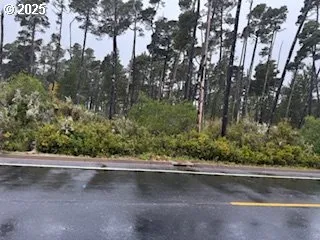 $1,690,000 | Tl00600, Florence, OR 97439