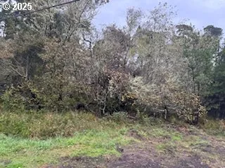 $1,690,000 | Tl00600, Florence, OR 97439