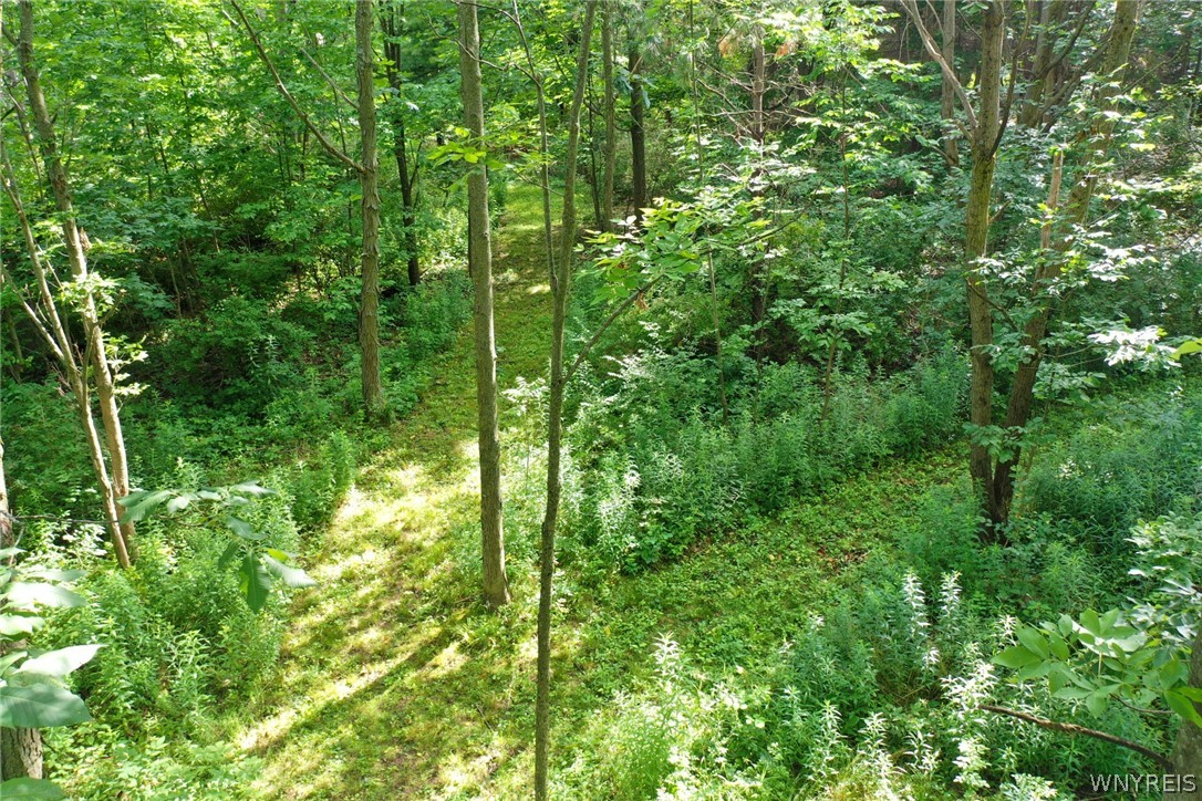 0 Hoover Road Attica, NY 14011 - Photo 13 of 21