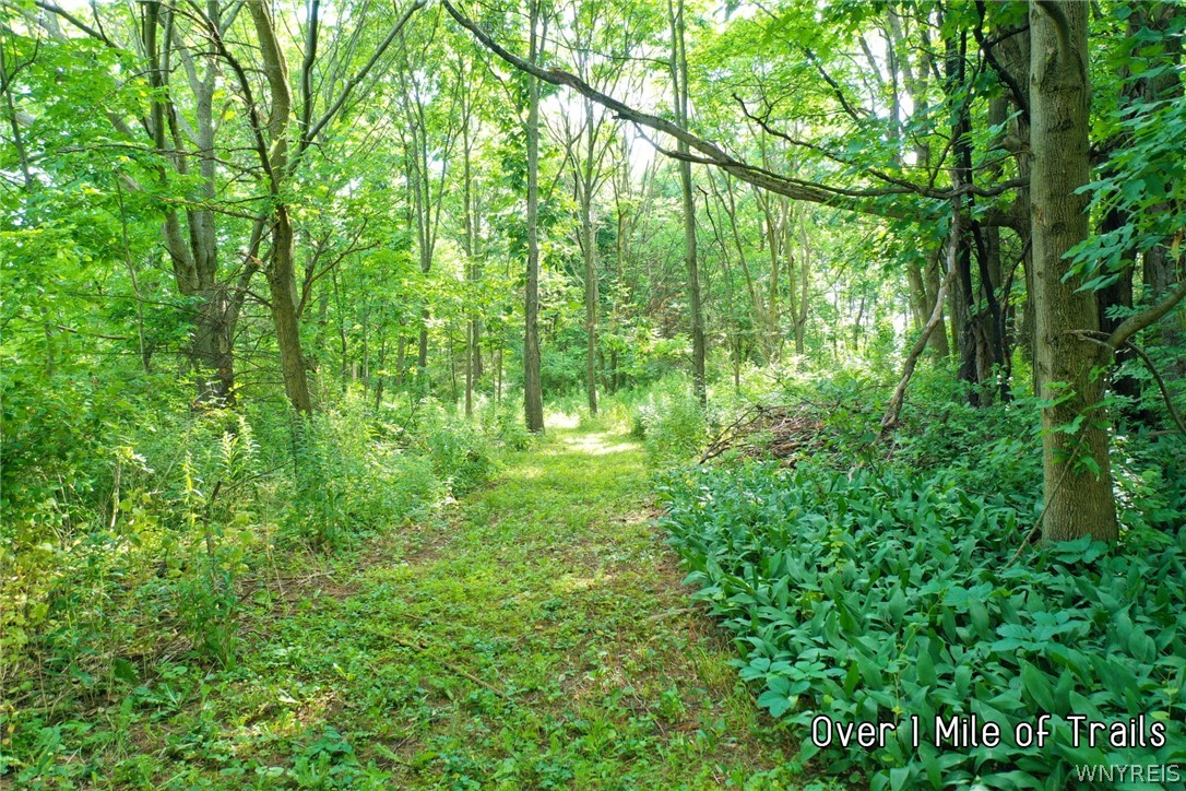 0 Hoover Road Attica, NY 14011 - Photo 14 of 21