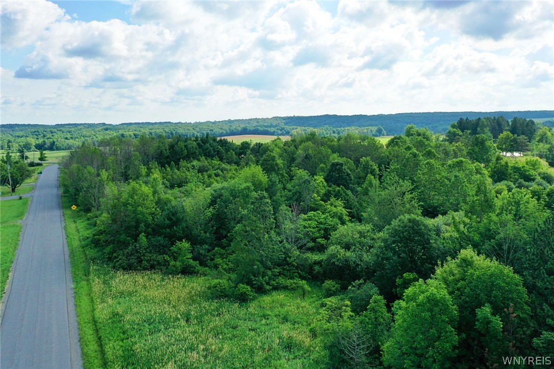 0 Hoover Road Attica, NY 14011 - Photo 15 of 21