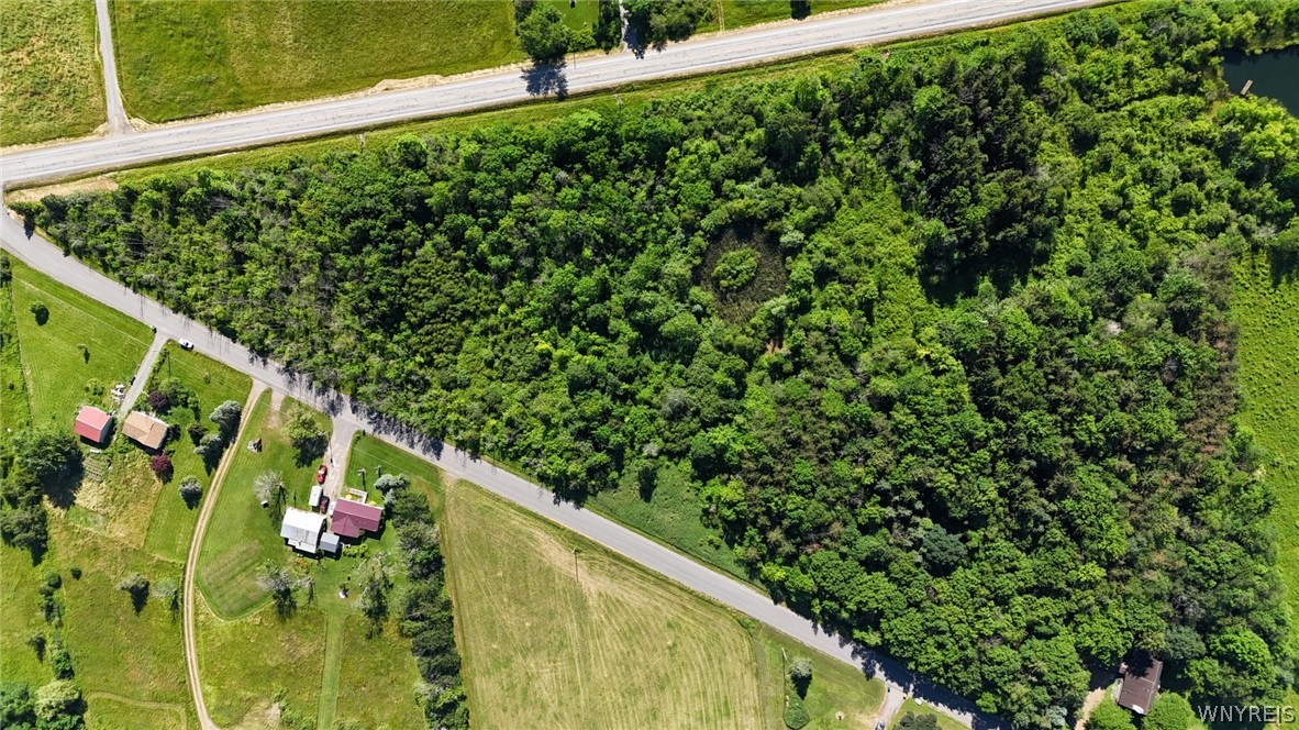 0 Hoover Road Attica, NY 14011 - Photo 6 of 21