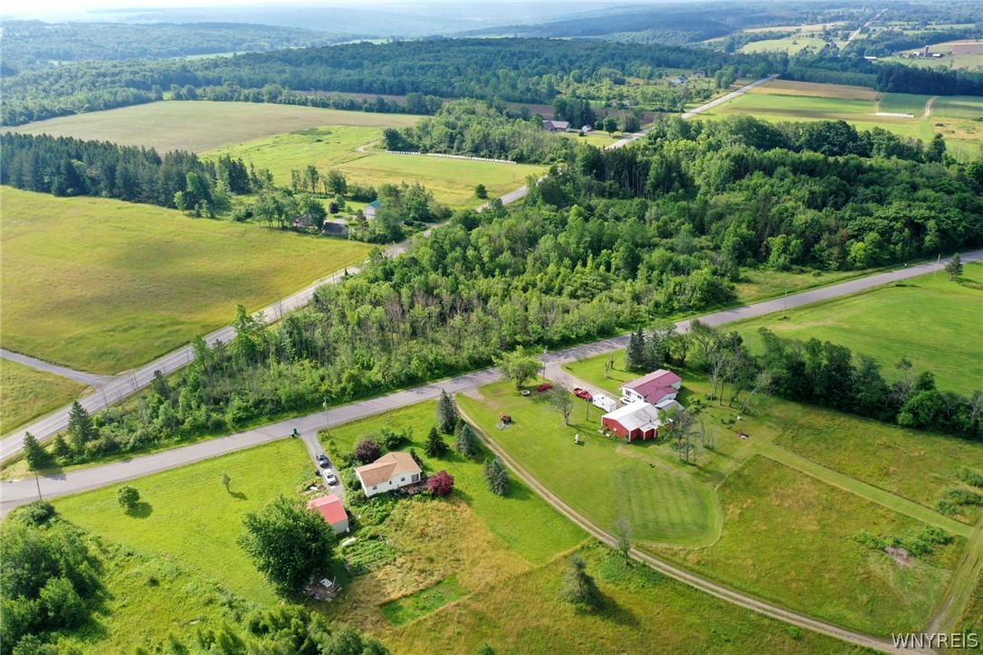 0 Hoover Road Attica, NY 14011 - Photo 9 of 21