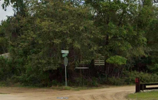 a view of a street with lush green forest