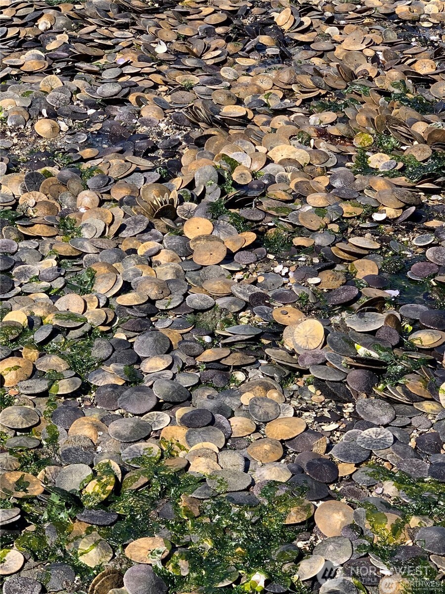 27704 Manzanita Beach Road Southwest Vashon, WA 98070 - Photo 37 of 38