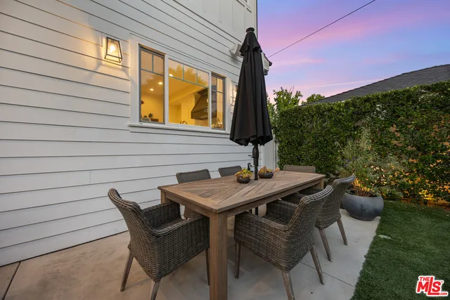 a view of a patio with couches and a potted plant on a table