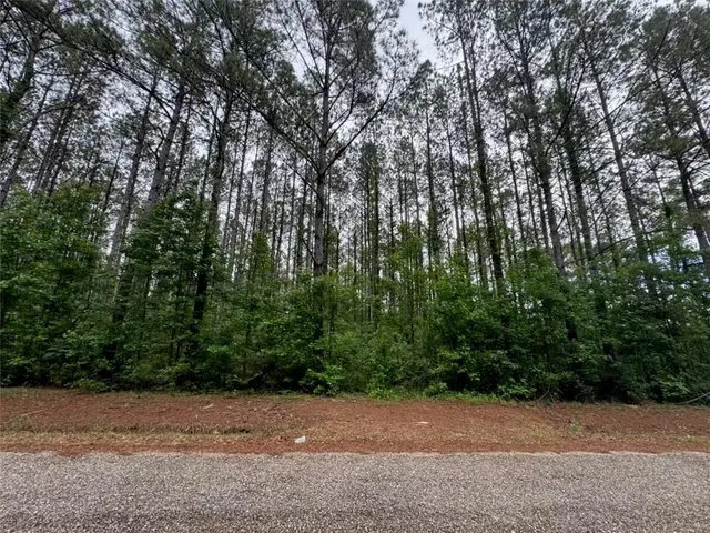 $51,900 | 0 Newman Briggs Road, Kentwood, LA 70444
