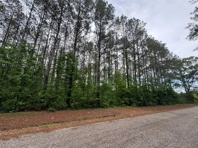 $51,900 | 0 Newman Briggs Road, Kentwood, LA 70444