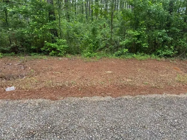 $51,900 | 0 Newman Briggs Road, Kentwood, LA 70444