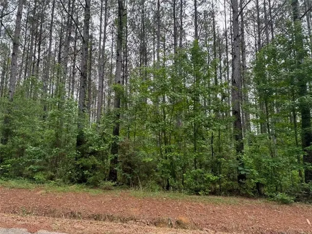 $51,900 | 0 Newman Briggs Road, Kentwood, LA 70444