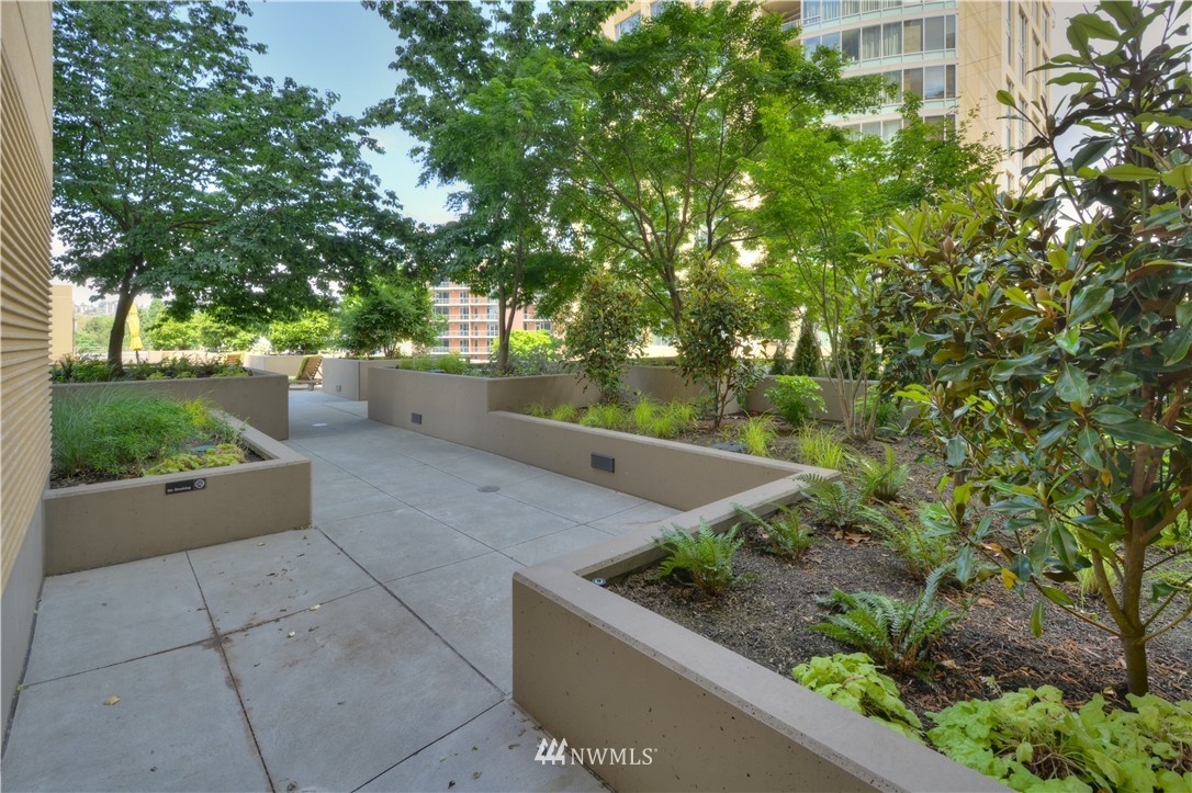 900 Lenora Street, Unit W1105 Seattle, WA 98121 - Photo 19 of 25 a view of a back yard