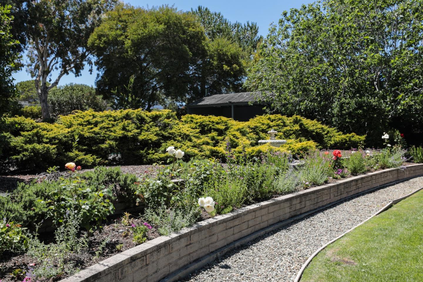 285 Ridgeway Road Woodside, CA 94062 - Photo 18 of 18 a view of a garden with plants and large trees