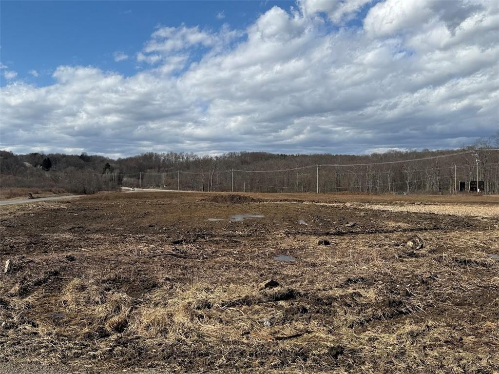 7700 Sharon-Mercer Road Mercer, PA 16137 - Photo 2 of 14 a view of a yard with a lake