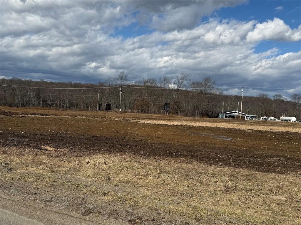7700 Sharon-Mercer Road Mercer, PA 16137 - Photo 6 of 14 a view of dirt yard with large trees