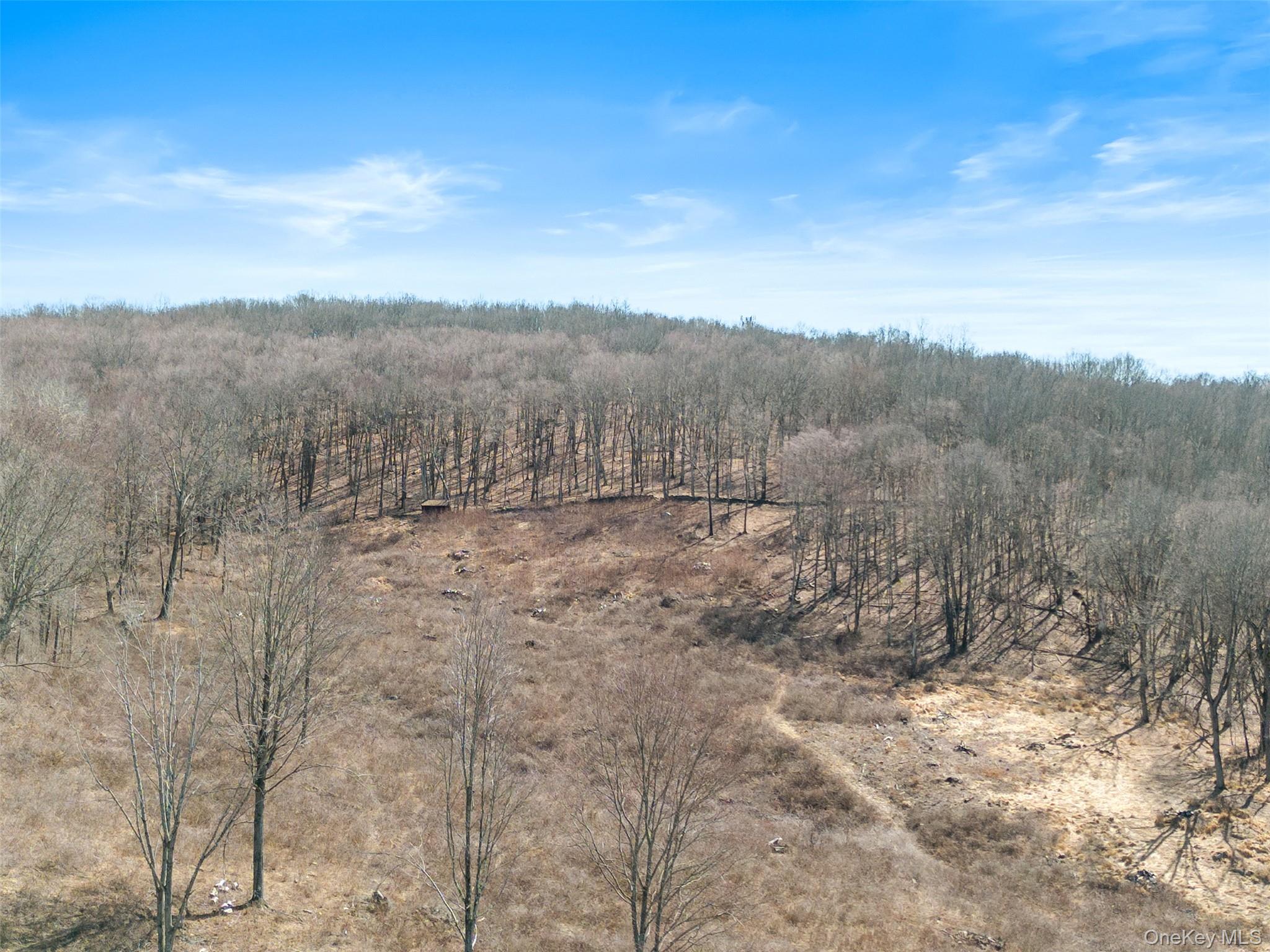 70 Barmore Road LaGrangeville, NY 12540 - Photo 47 of 47 View of local wilderness