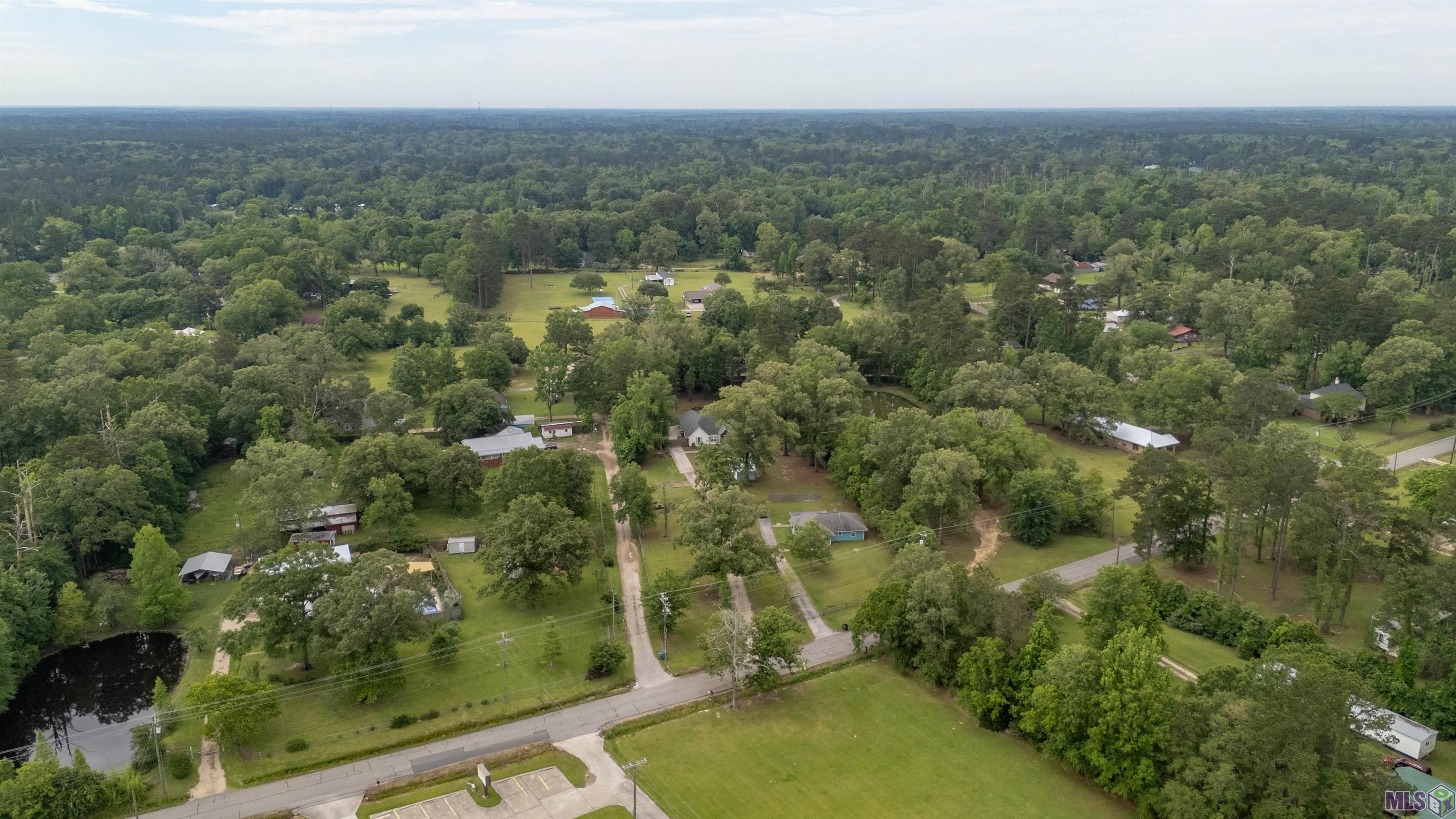 13698 Hammack Road Denham Springs, LA 70726 - Photo 33 of 35