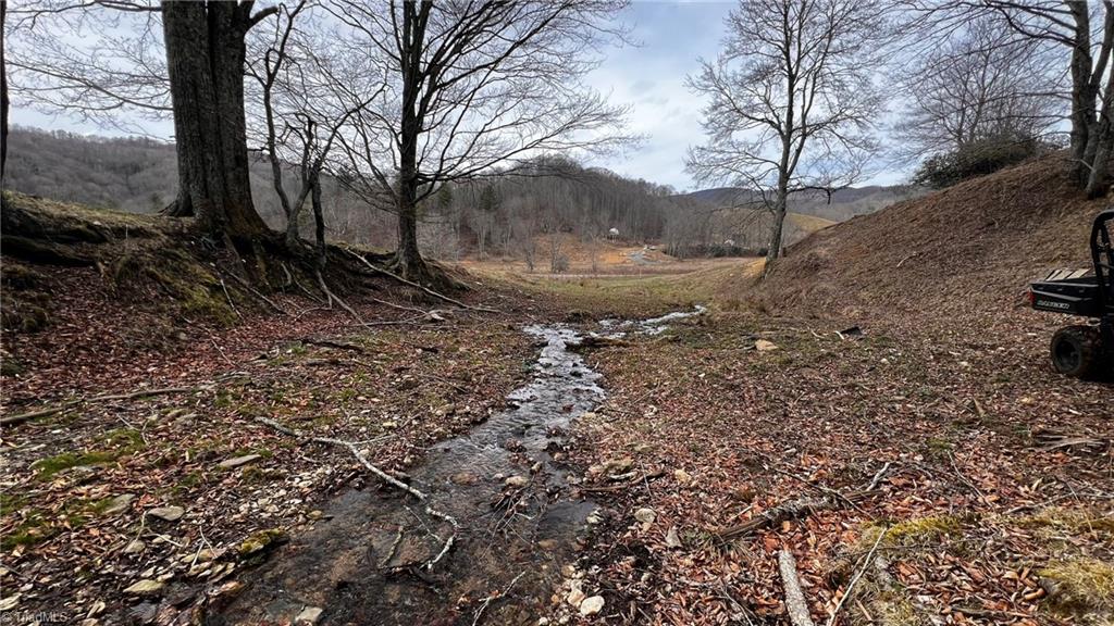 1266 Flatwoods School Road Creston, NC 28615 - Photo 11 of 41