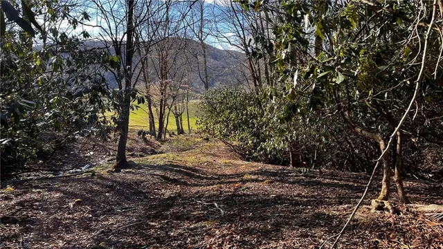 $875,000 | 1266 Flatwoods School Road, Creston, NC 28615