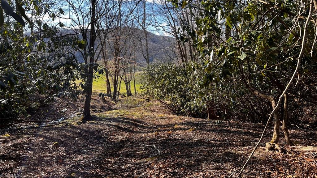 1266 Flatwoods School Road Creston, NC 28615 - Photo 12 of 41