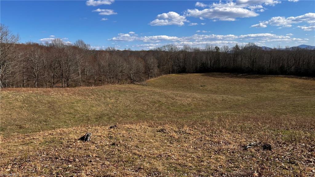 1266 Flatwoods School Road Creston, NC 28615 - Photo 13 of 41