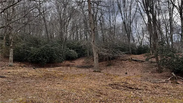 $875,000 | 1266 Flatwoods School Road, Creston, NC 28615