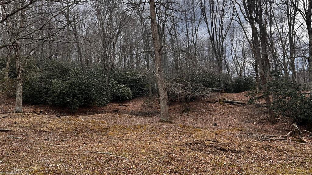 1266 Flatwoods School Road Creston, NC 28615 - Photo 14 of 41