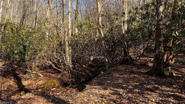 $875,000 | 1266 Flatwoods School Road, Creston, NC 28615